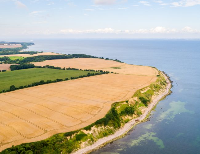 Der Naturpfad entlang der Steilküste bis hin zur Weißen Wiek