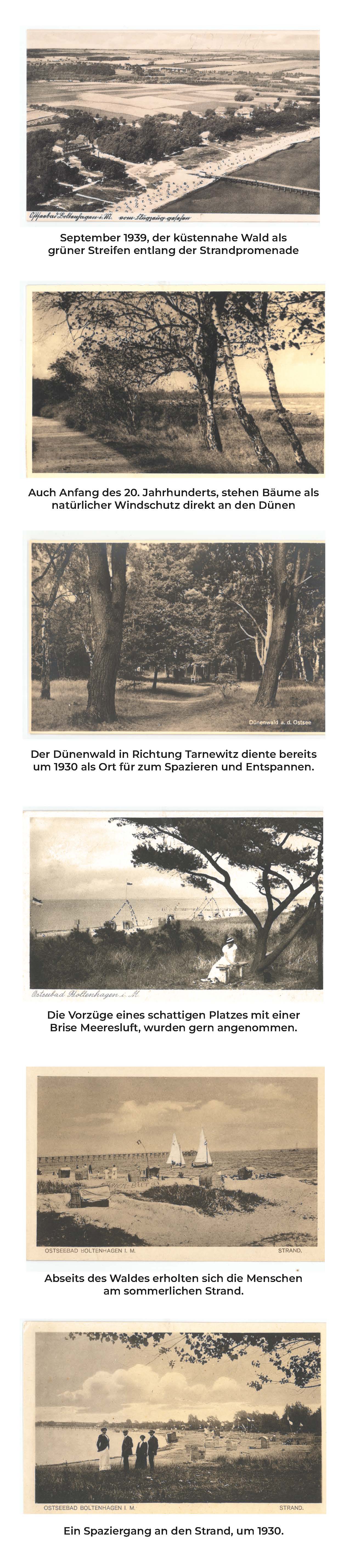 HistorischeBilder_Wald