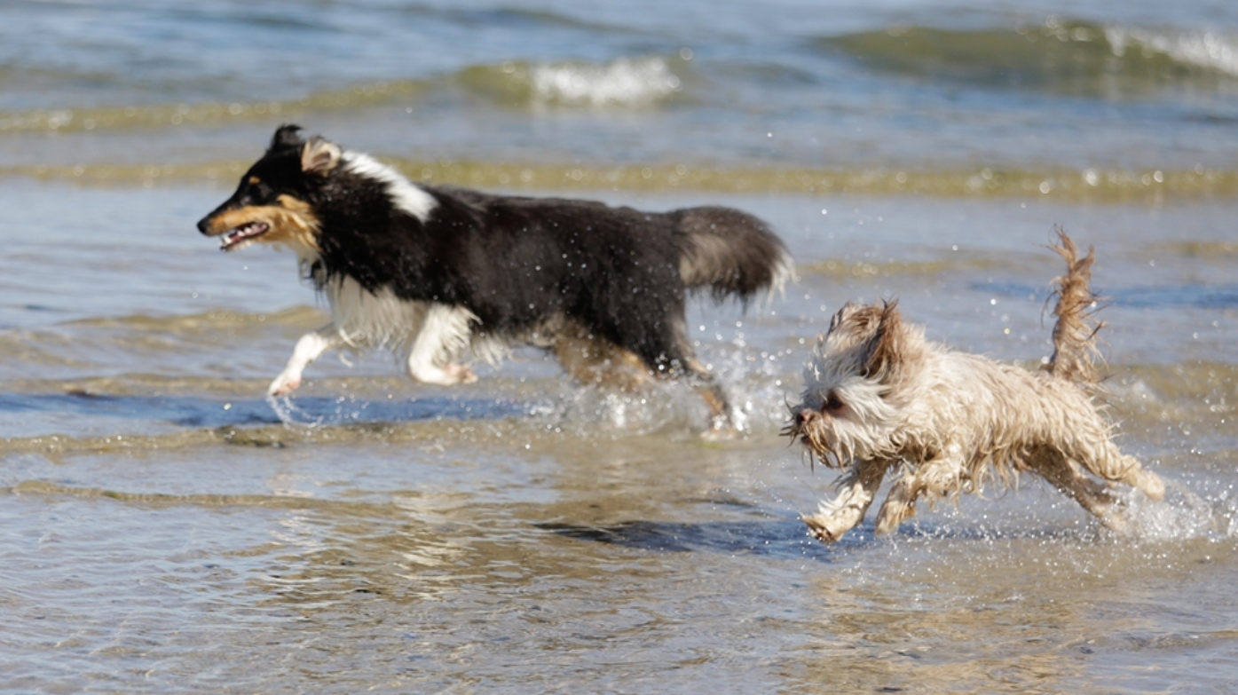 © Kurverwaltung Ostseebad Boltenhagen_Ecki Raff